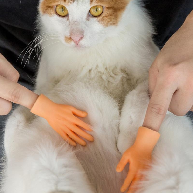 cat hand toy