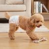 10PCS Super Absorption Dog Physiological Pants Breathable Disposable Diapers  Dog Travel