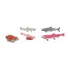 Growth Cycle Model Vinyl Material Safe Odorless Vivid Real Salmon Animal Life Cycle Model for Above
