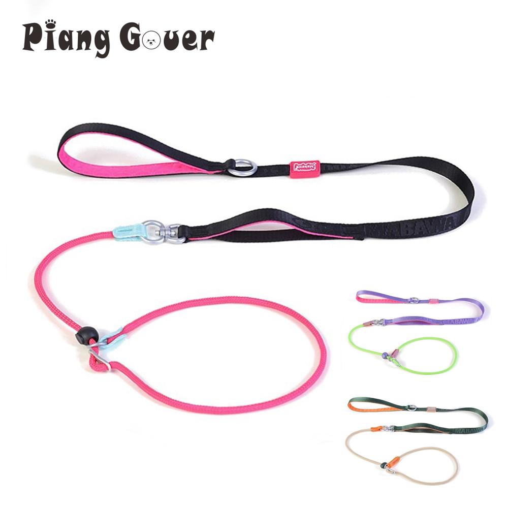 Leashes Pet Dog Choking Rope Leash Collar P-Shaped Chain Slip Lead Control Leash for Small Large Competition Dogs