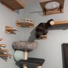 Produse pentru animale – Mobilier pentru animale de companie