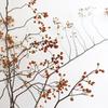 Wabi-Sabi Style Mountain Preserved Flower & Dried Branch Floor Ikebana Ornament