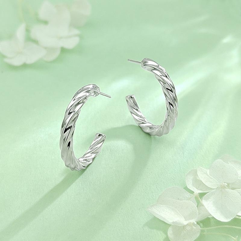 S925 Sterling Silver Twisted Hoop Earrings for Women - Fashionable Retro Design with a Niche High-End Appeal