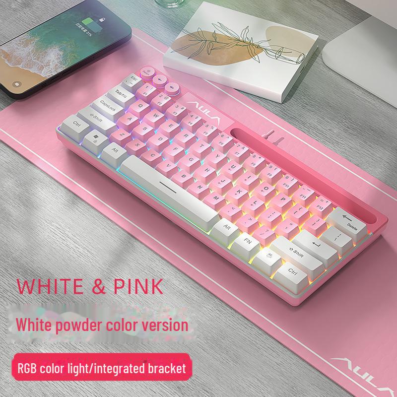 AULA Wolf Spider F3061 Mini 61-Tasten RGB Kabelgebundene Tastatur