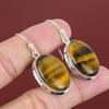 Tiger's Eye Earring 925 Sterling Silver Earring Handmade Earrings Genuine Gemstone Earring Healing Stone Jewelry Gifts For Mom Drop Earring