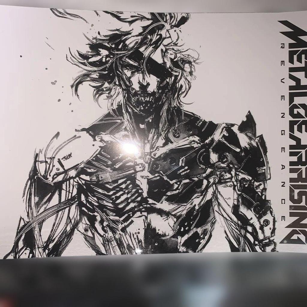 [USED] METAL GEAR RISING: REVENGEANCE PS3