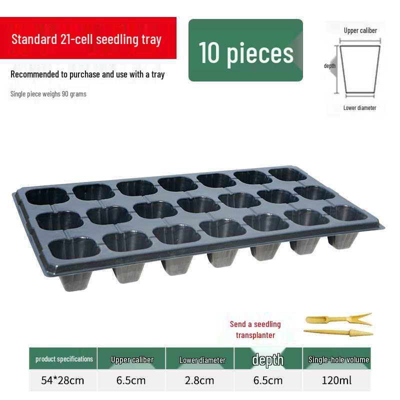 Thickened Plastic Succulent Seedling Tray for Cultivation & Cutting