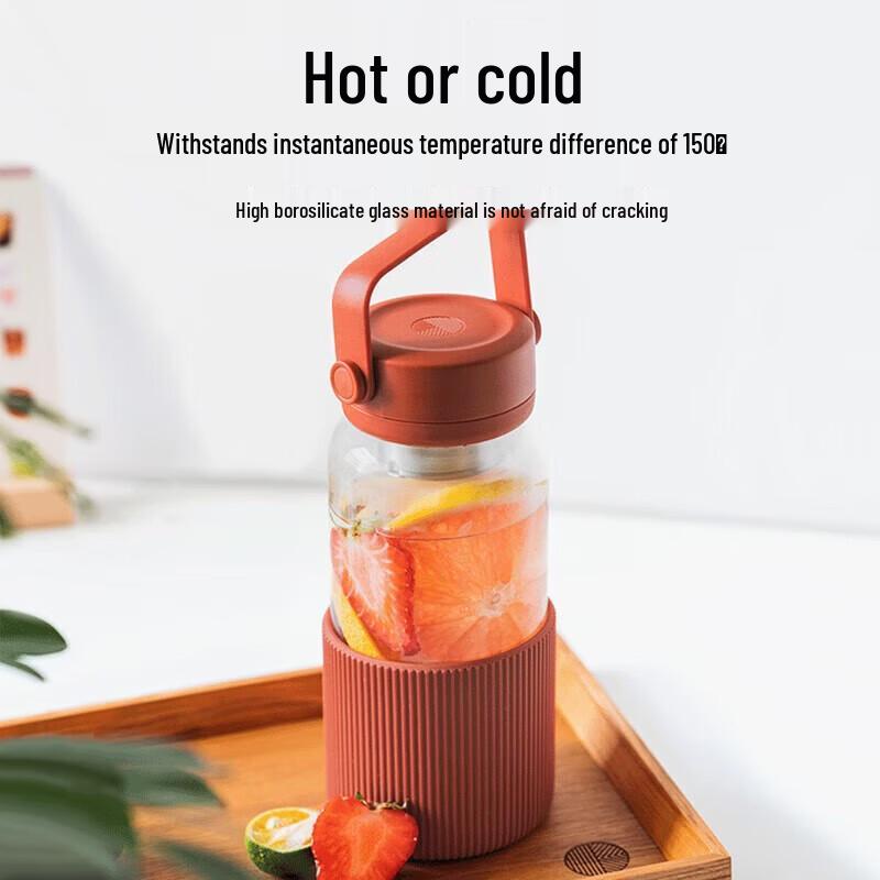 Buydeem Tea Infuser Travel Glass Mug