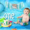 Big One Highchair Banner for 1st Birthday,First Birthday Banner for Baby Boys, Blue Highchair Banner, Pool Party Decorations for Kids Birthday, Cake