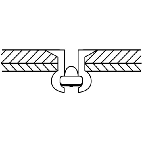 EBI Blind Rivets, Countersunk Head (1000 pieces), Aluminum/Steel, 5-5, NSA55K