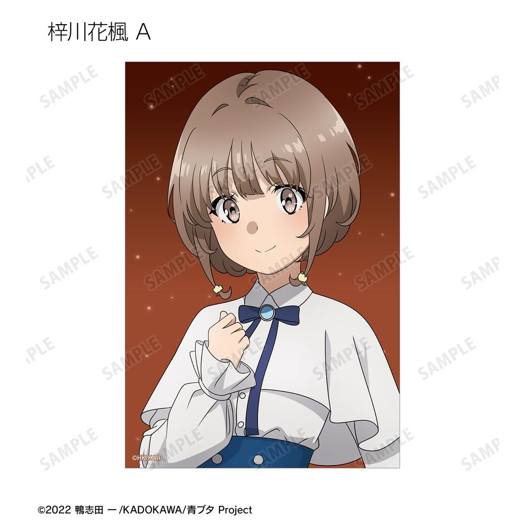 Rascal Does Not Dream of a Dreaming Original Starry Sky Dress Trading Clear Box of 12 Girl Ver. Cards,