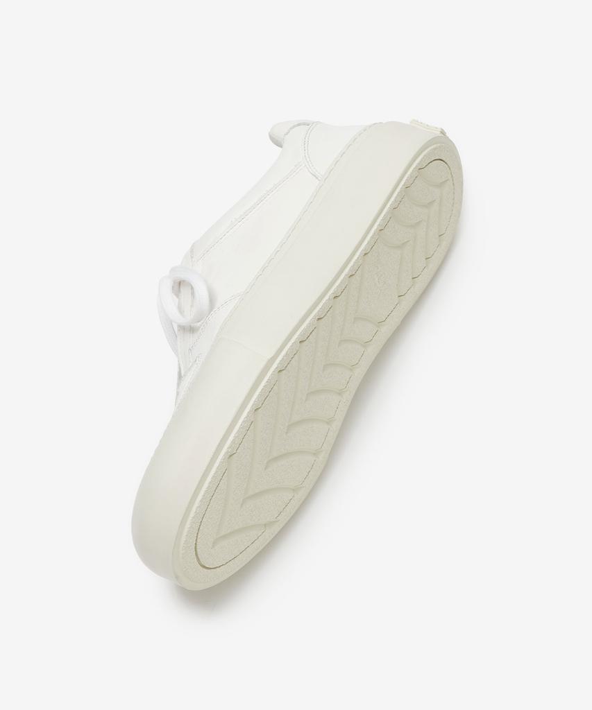 Vatoz Vtz Hippo_Ivory
