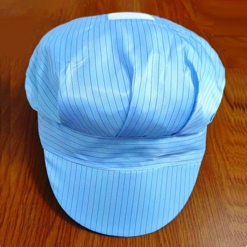 Anti-static Dustproof Hard Brim Work Cap