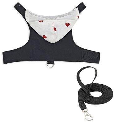 זוחלים – טיפול בזוחלים