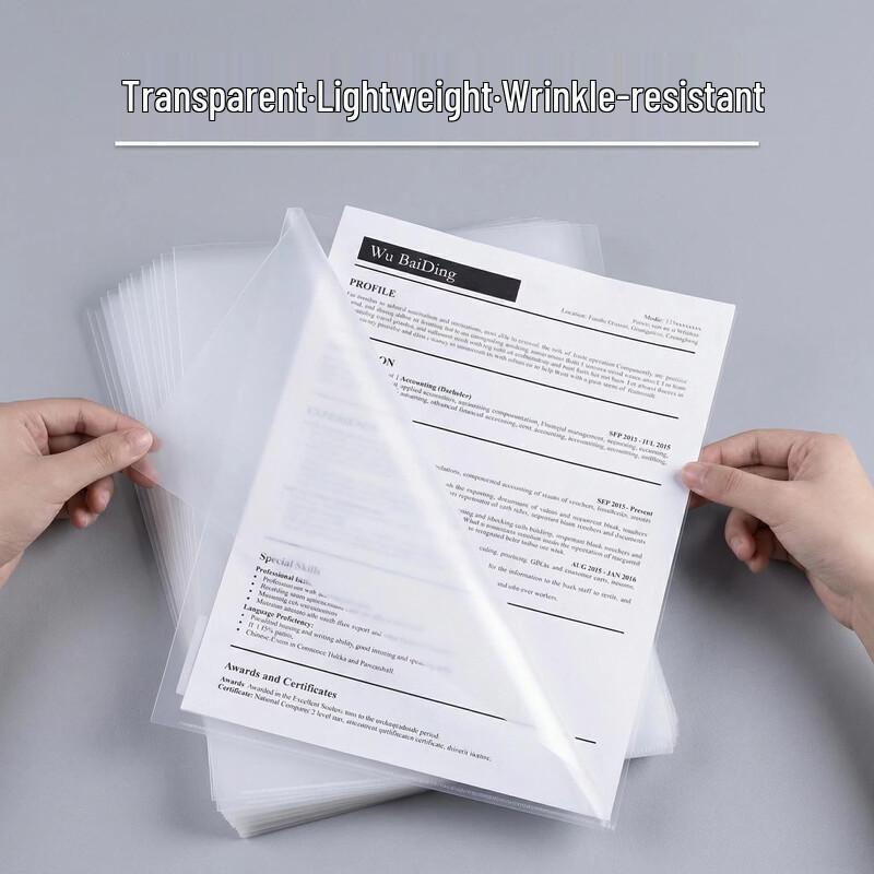 SUNWOOD A4 Transparent File Holders (20-Pack)