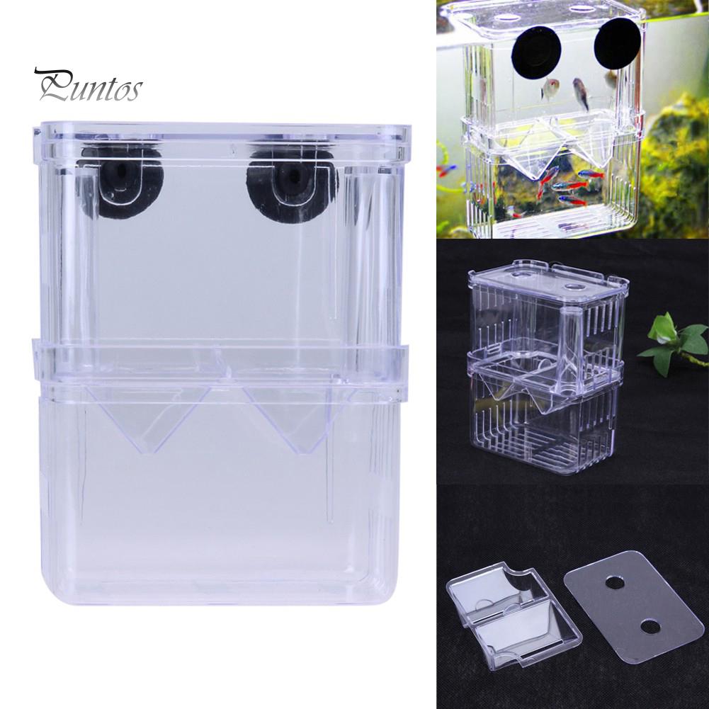 Akryl Transparent Dobbeltlags Aquarium Fish Breeding Isolation Box Incubator