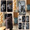 Beautiful Grey British Shorthair Cat Case For OnePlus Nord 5 CE 2 3 4 Lite N20 N30 OnePlus 15 13 12 11 13T 10T 10R 12R 13R Cover