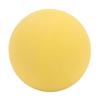 Lacrosse Ball Set PVC Elastic Excellent Grip Lightweight Massage Balls Set for Kids Club Training 6 PCS