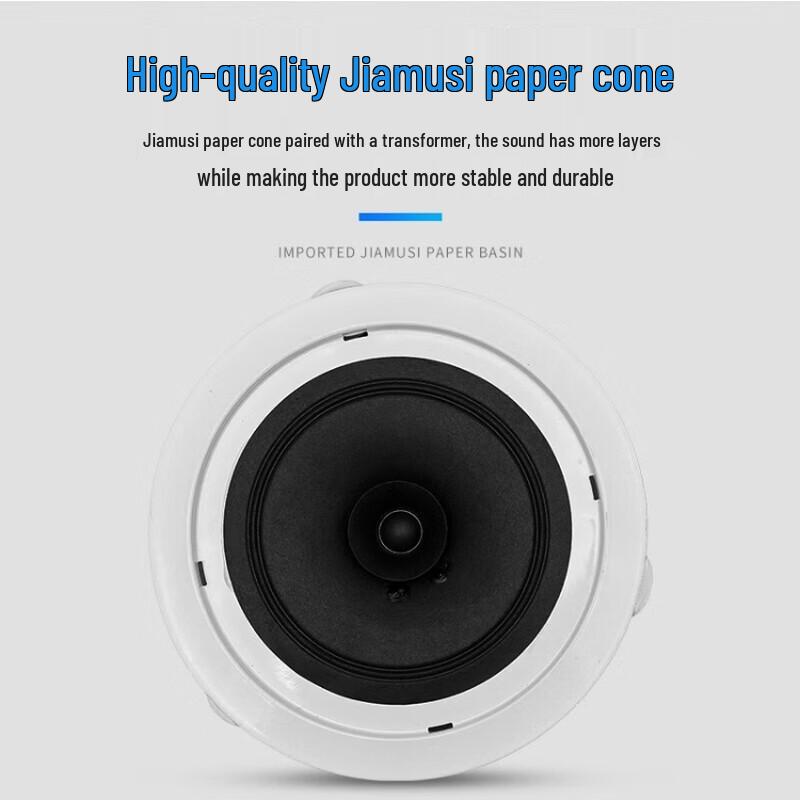 Alto-falante de Teto Série CSL da LingSheng