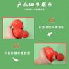 Simulation Strawberry Squishy Creative Prank Toy For Stress Relief, Squeezable Slow Rebound Squishy Fun Gift For Friends