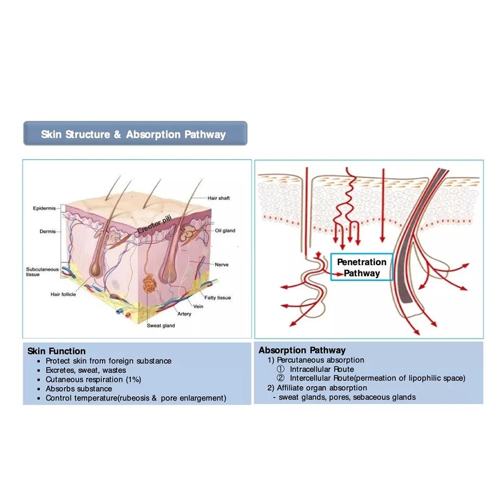 Professional DEP Water Mesotherapy Injector Skin Hydration Machine Injection Gun Skin Lifting Tighten Whitening Device