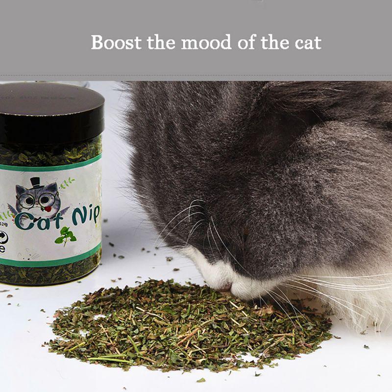 10 g/pungă Natural Premium Catnip Catnip ales pentru frunze proaspete de catnip pentru pisicuță, care poate fi presărat pe jucării și jucării cu catnip