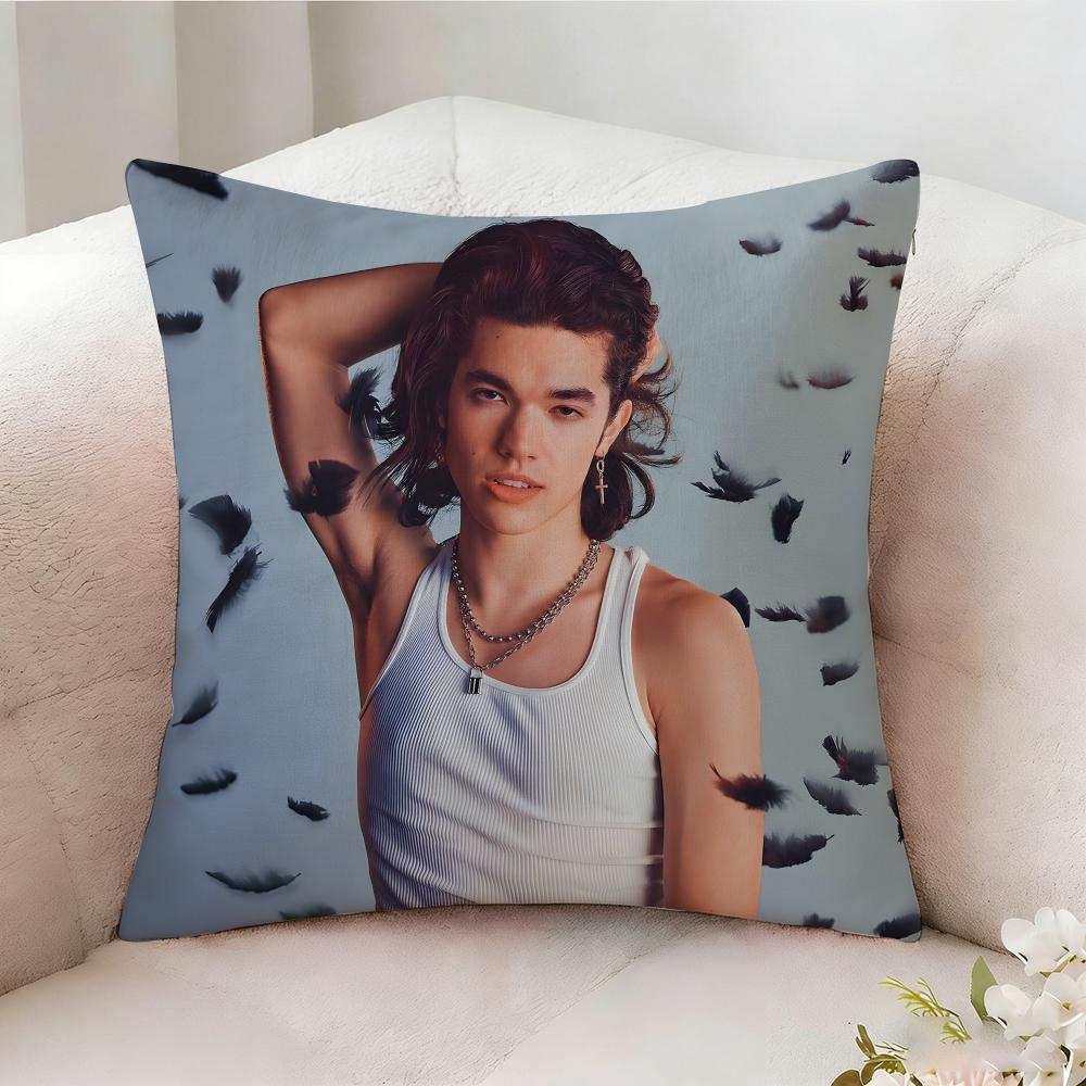 C-conan G-Gray Singer Pillow Case Pillowcase, Double-sided Printed, Sofa Cushion, Bedroom Headboard Pillow