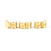 China Supplier Hot Selling Pigeon Accessories Tracking Foot Ring