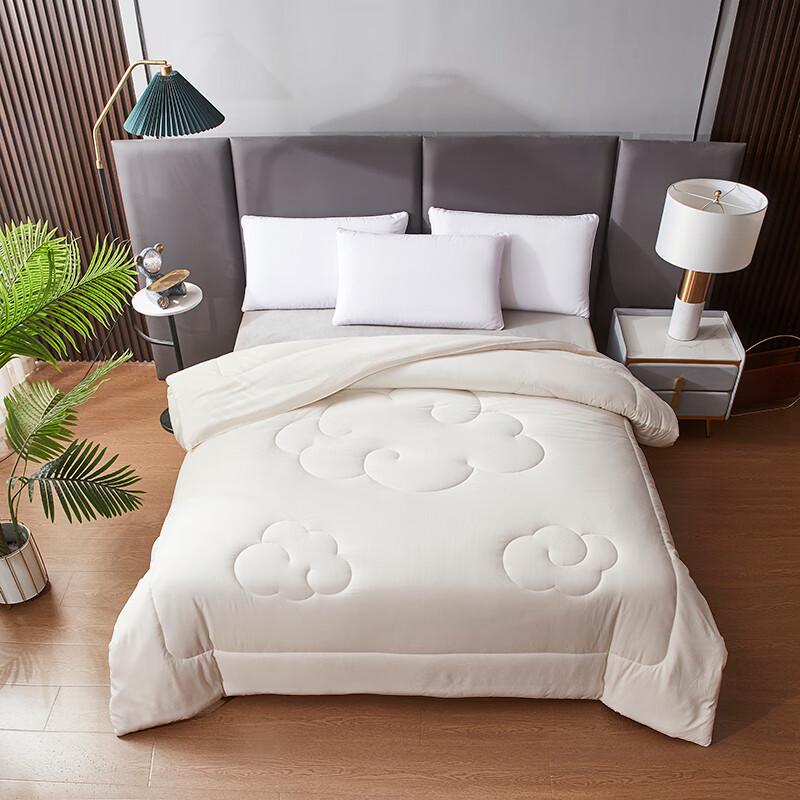 

Chuxinsuwen Winter Cloud Quilt