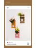 Handcrafted Wooden Wall-Mounted Hydroponic Glass Vase for Bedroom and Living Room Decor