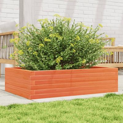 Home Decor – Decorative Flower Pots