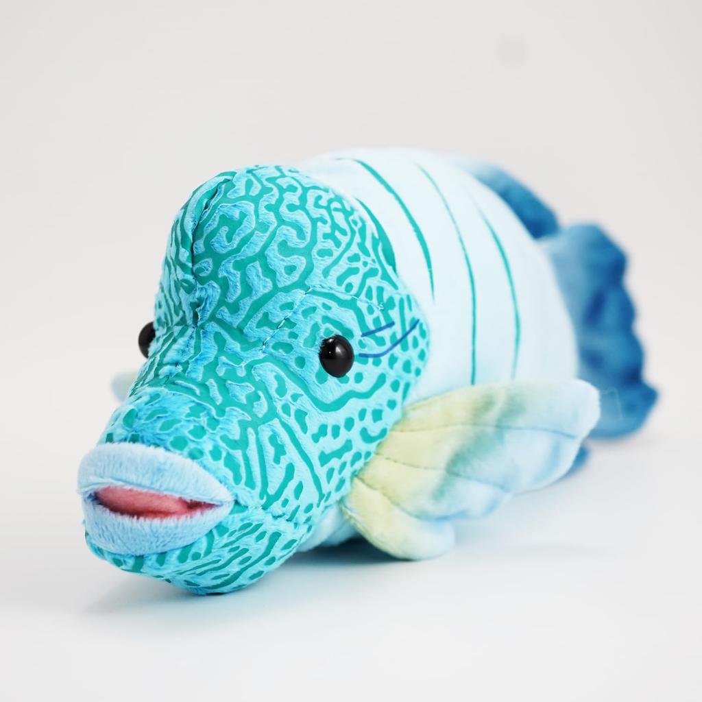 TST Advanced Exciting Illustrated Guide Napoleon Fish 10170 Total Length Approximately 30cm