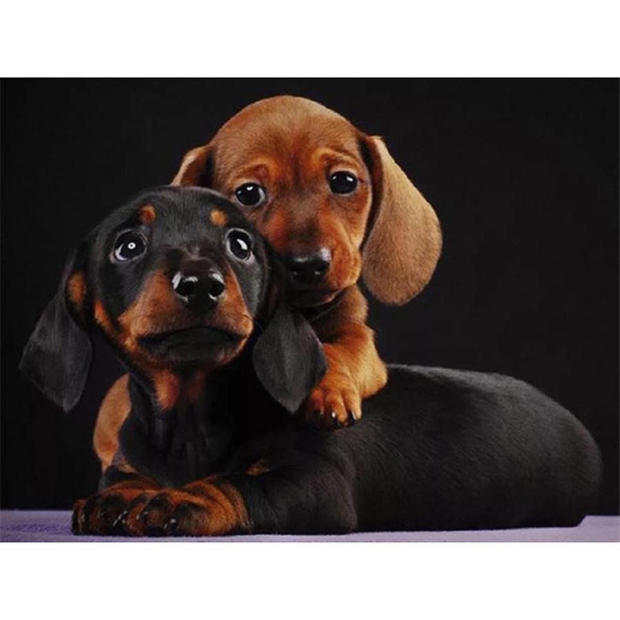 Kompletní 5D kutilské diamantové malování Všechny druhy psů Diamantové vyšívání Sady křížkového stehu Domácí dekorace Ručně vyrobený dárek