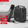 Newmine MS19 Wireless Portable Voice Amplifier CN Plug (adapter Included)