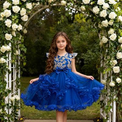 Mädchen Besticktes Mesh Prinzessinnenkleid - Puffrock für Blumenmädchen oder Klavieraufführung