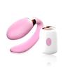Wireless Remote Control Pussy Vibrators G-Spot Stimulator Anal Massager Vibrating Egg Sexy Toys for Women Vagina Couple Sex Toy