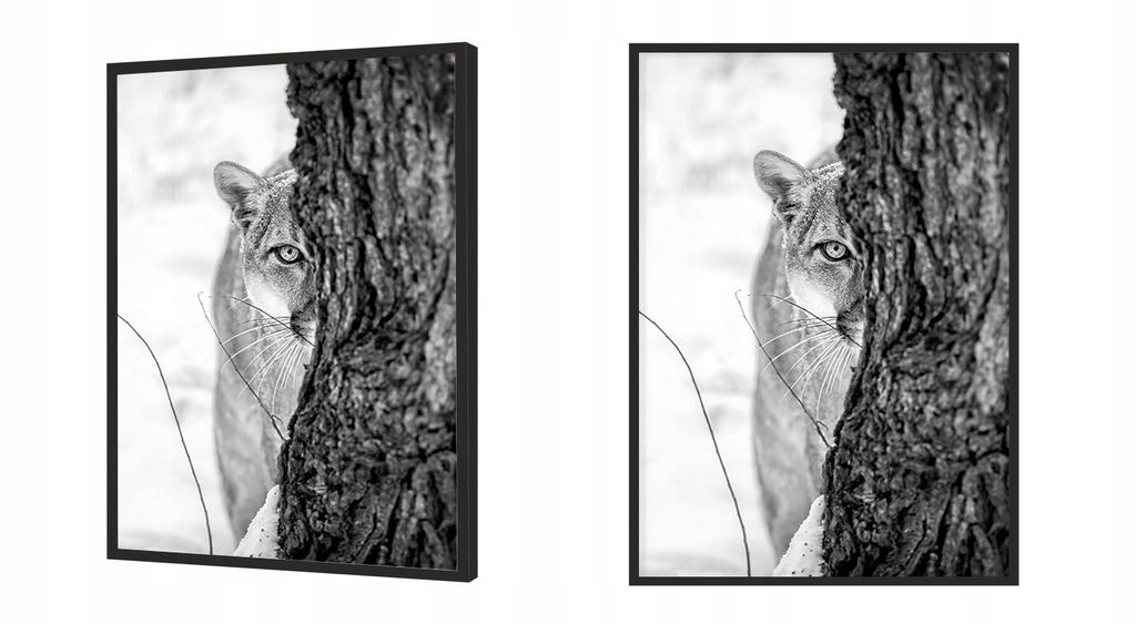 Picture poster In a frame 43x33 cm Panther P1149