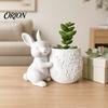 Maceta Verde Pequeña Conejo Abrazando Suculentas Impresa en 3D, Flor de Conejo Linda con Cuerpo Floral Compacto en Relieve, Decoración de Escritorio Mini para