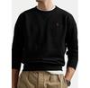 Polo Ralph Lauren Hoodie 710766772001