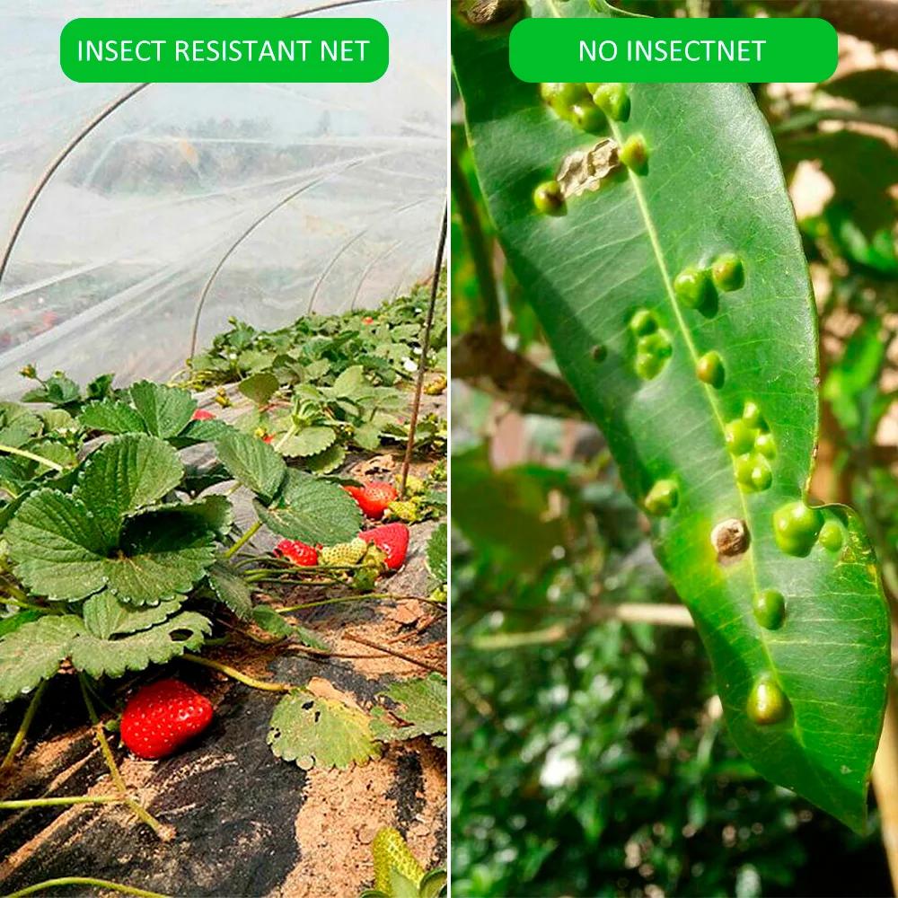 Garden Insect Protection Net Vegetables Plant Fruit Care Cover Garden Mesh Planting Protection Anti-Bird Protective Net 60 Mesh