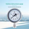 Jinglongdun Stainless Steel Pressure Gauge