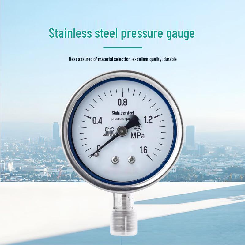 Jinglongdun Stainless Steel Pressure Gauge