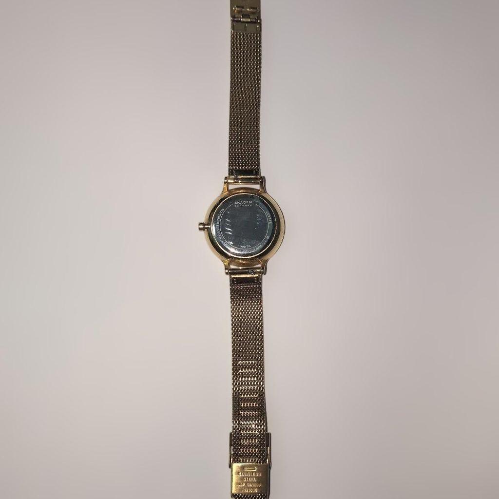 Used SKAGEN ANITA LILLE SKW3145 Ladies Fashion Watch