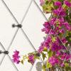 10 Pieces Trellis Crosshead Hubs Climbing Plants Kit Stainless Supports Expansion Anchors