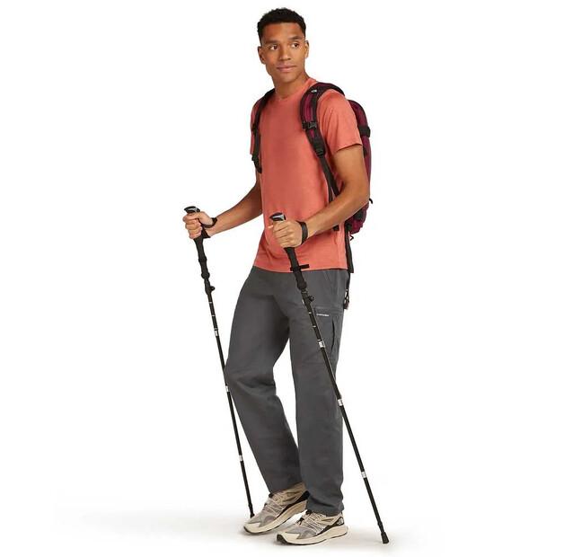 Icebreaker Брюки Merino Elevation Stretch