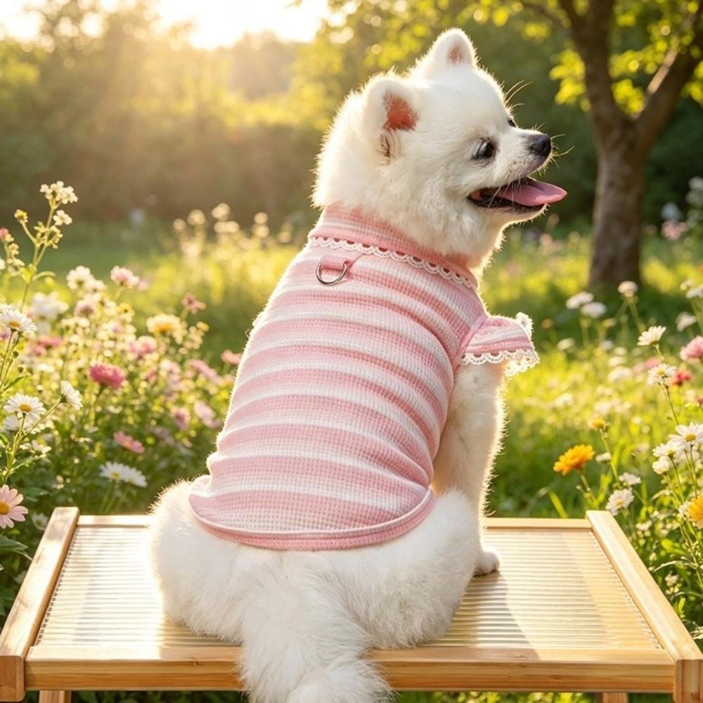 Stripe Design Dog Lace Knit Vest Ruffle Sleeves Dog T-Shirt Cute Pet Hoodie Daily Wear