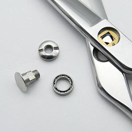 DEEDS Japanese Scissors Specialty Manufacturer GTX Scissors (6.5 Inches)