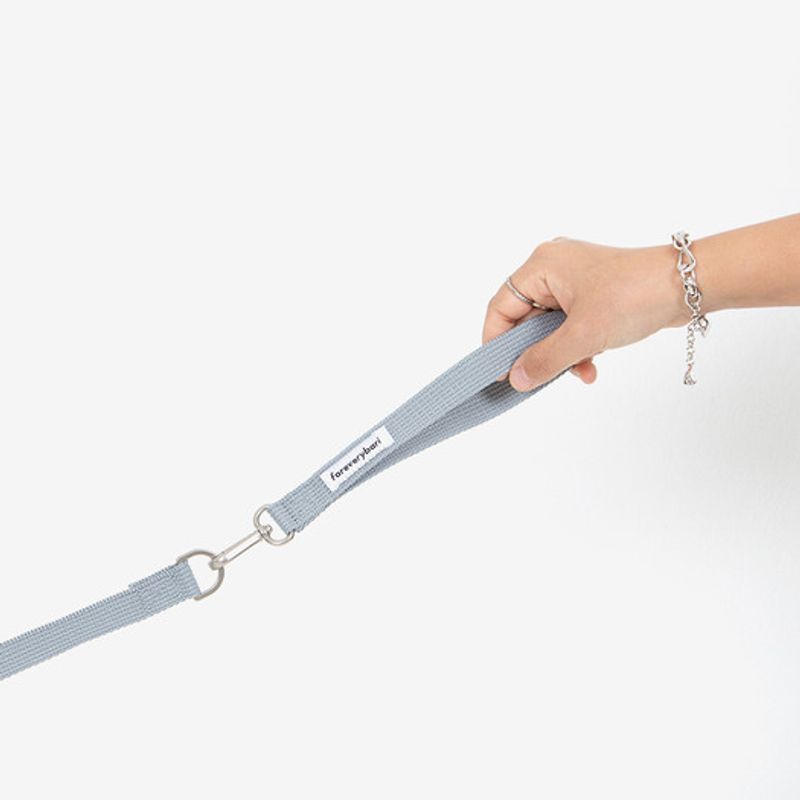 Foreverybari Rishi (Eisgrau)