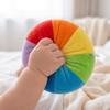 Soft Plush Rattle Ball Baby Handheld Sensory Toy with Bell Inside for Early Development and Hand Eye Coordination
