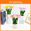 Corn Simulation Multicolor Poppy Potted Artificial Flower Ornament Desktop